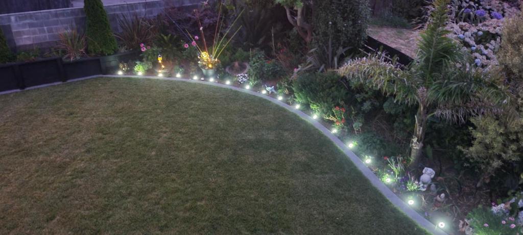 The Lily Inn - Resim 20