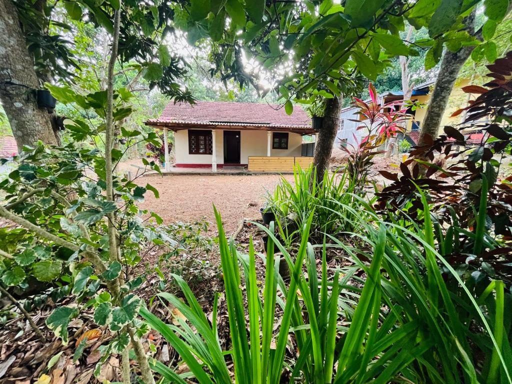 a small house in the middle of a garden at Villa Ceylonra in Tangalle