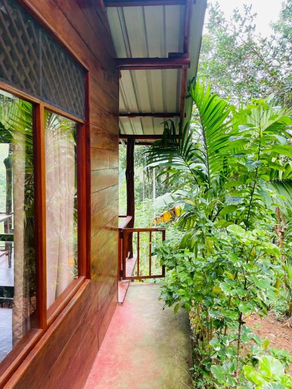 Zahrada ubytování Nine Arch Jungle Inn