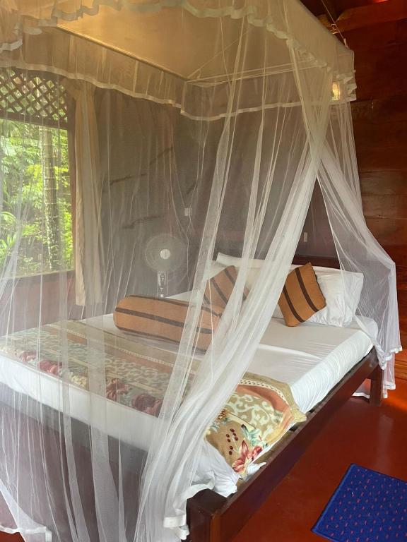 Nine Arch Jungle Inn - 7