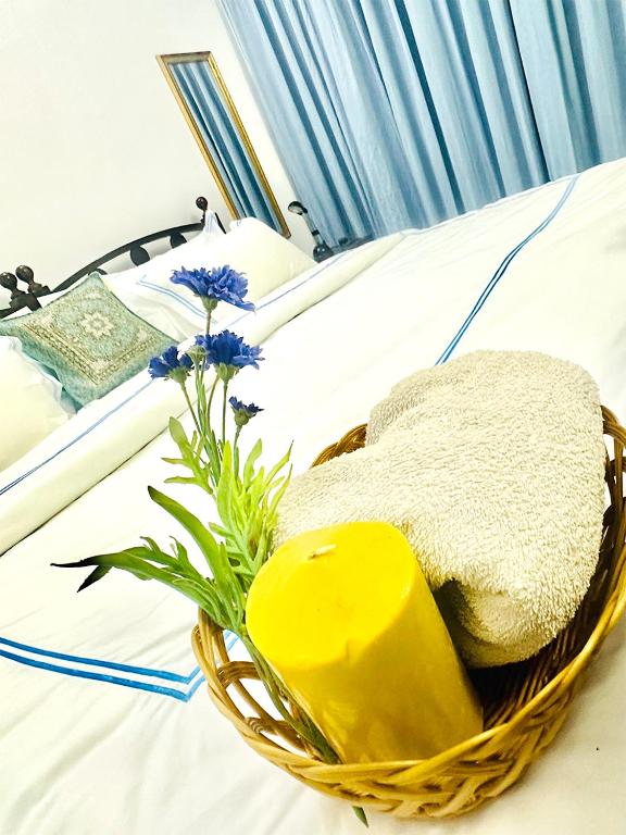 Fotografie z fotogalerie ubytování Sea Breeze Guest House Negombo v Negombu