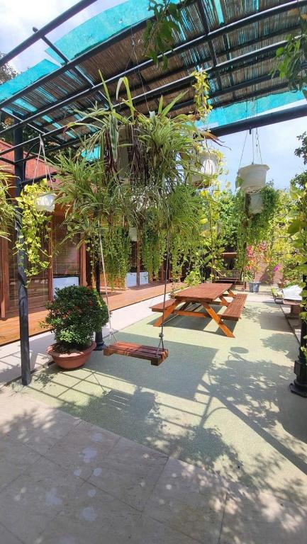 Zahrada ubytování Hoàng Dung homestay- Vũng Tàu