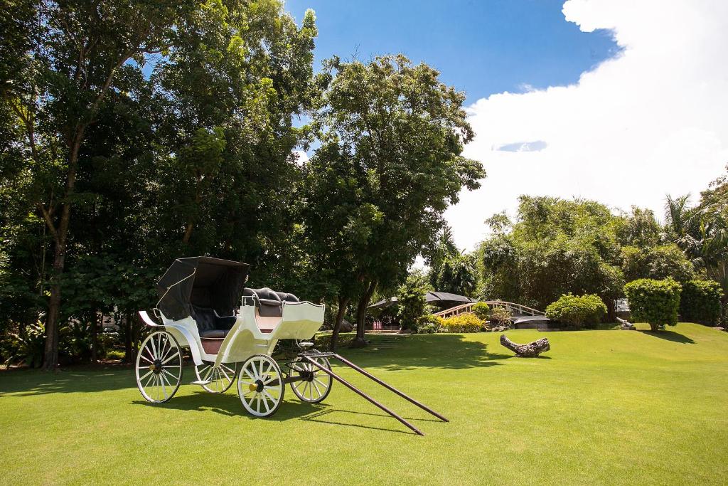 Um jardim no exterior de Cebu White Sands Resort and Spa