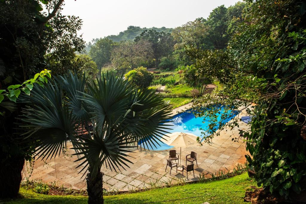 Bazén v ubytování Stone Water Eco Resort nebo v jeho okolí