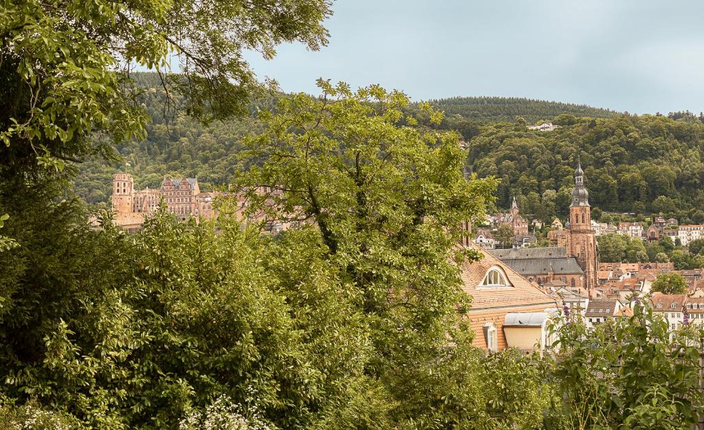 House of Hütter- Heidelberg Suites Guesthouse - Resim 18