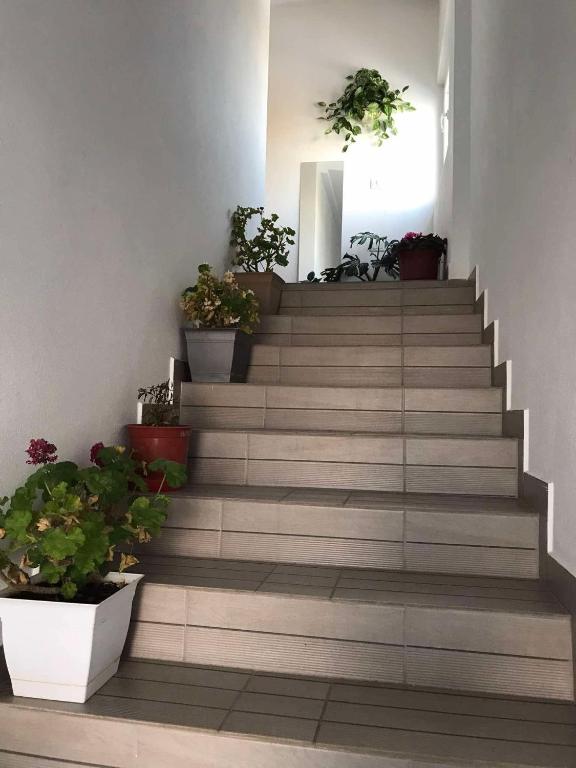 Fotografie z fotogalerie ubytování Villa Rejan v destinaci Pogradec