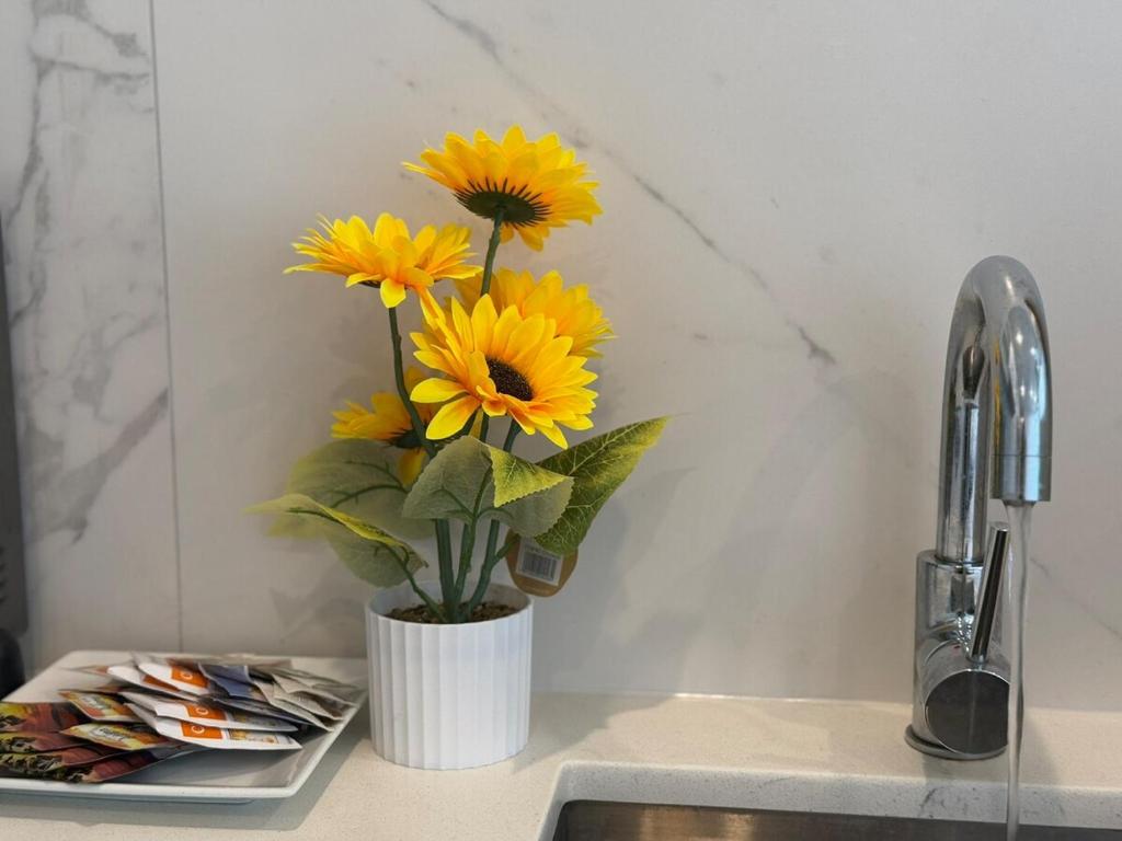 Sky Stars 2B1B family home with in AKL CBD with free parking - Resim 3