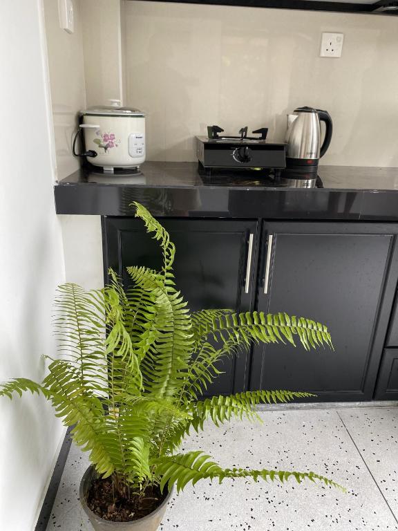 Kuchyň nebo kuchyňský kout v ubytování Monstera Haven Hiriketiya