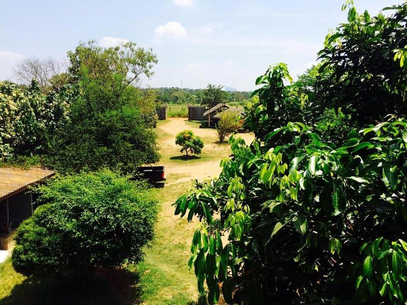 Zahrada ubytování Peacock Eco Resort Sigiriya