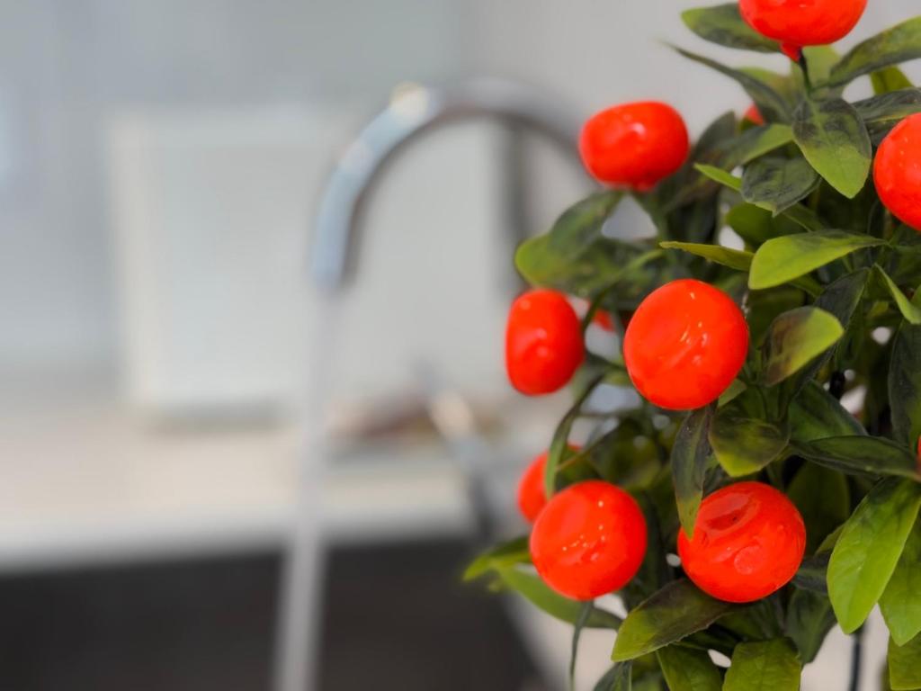 Sky Stars 2B1B family home with in AKL CBD with free parking - Resim 19