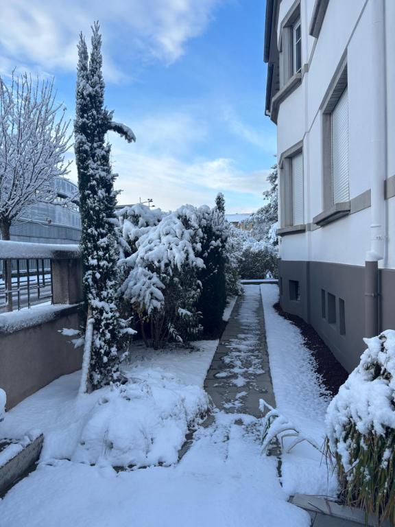 Bel appartement centre climatisé parking privé – photo 12