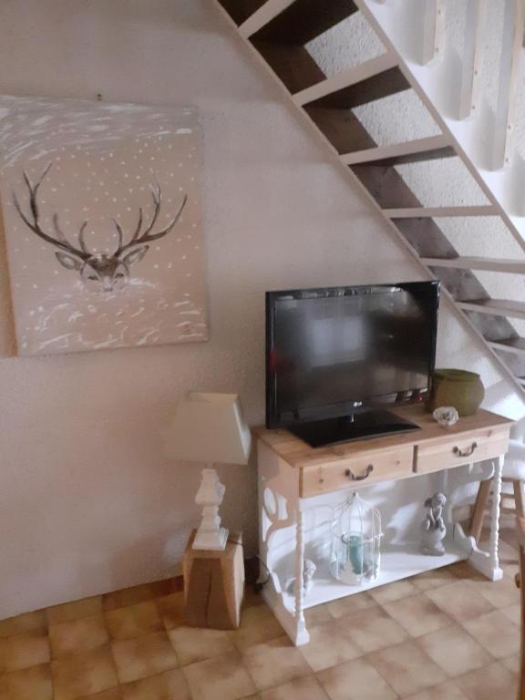 TV a/nebo společenská místnost v ubytování Hameau des Granges