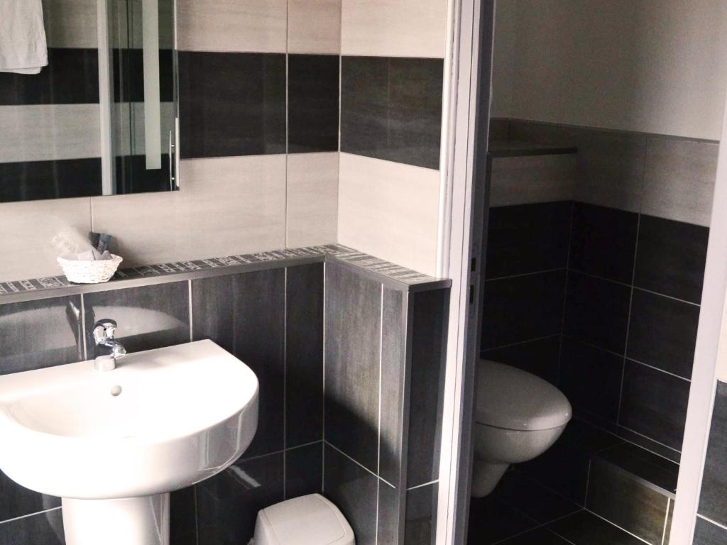 Hôtel Le Dauphin Bleu - 8