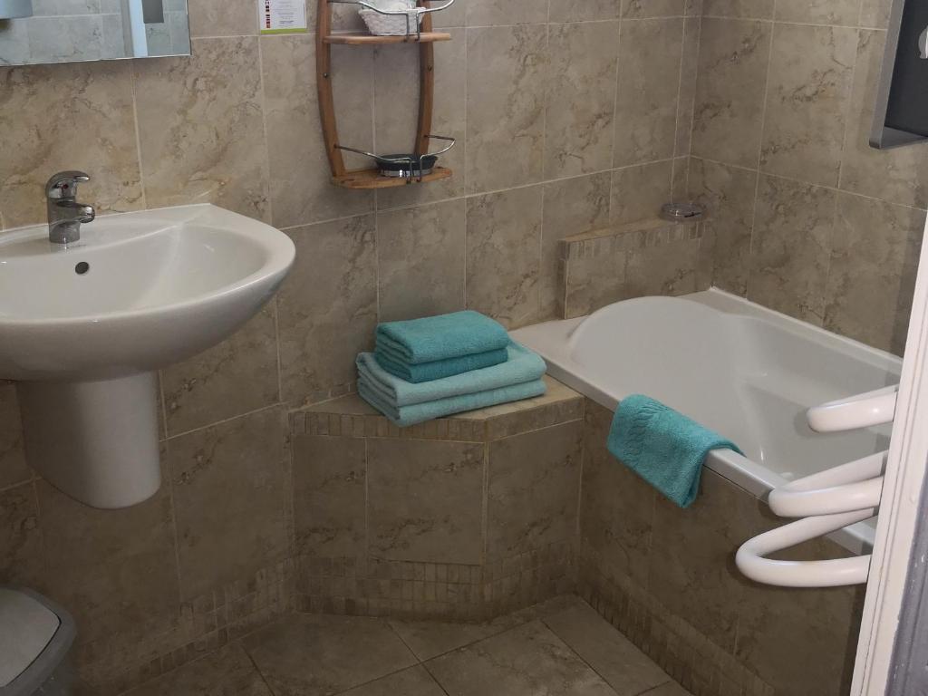 Hôtel Le Dauphin Bleu - 17