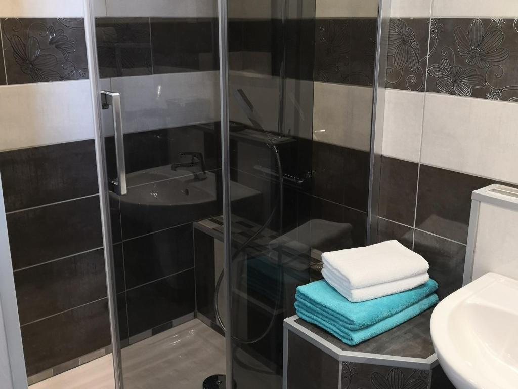 Hôtel Le Dauphin Bleu - 9