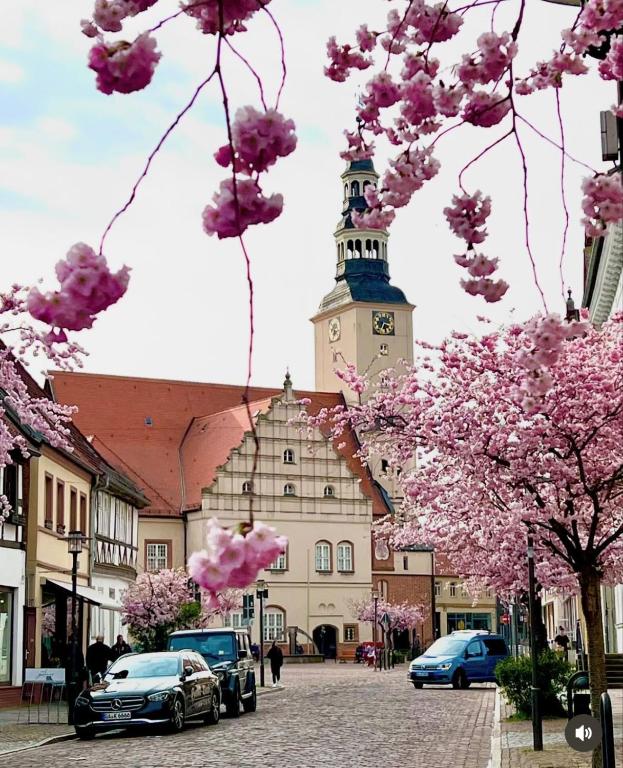 Fotografie z fotogalerie ubytování Hotel Doko Gardelegen v destinaci Gardelegen
