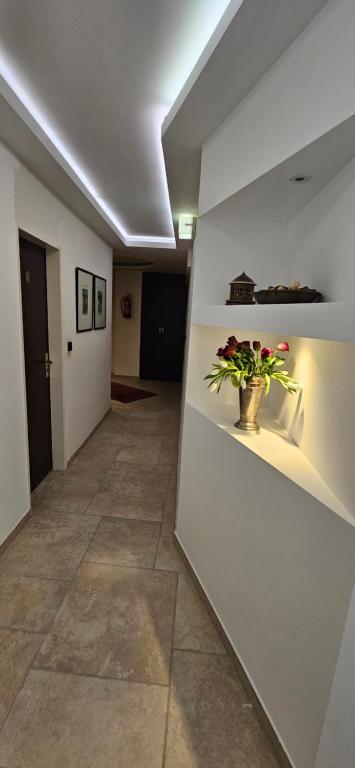 Apartment Hotel Citylight - Resim 16