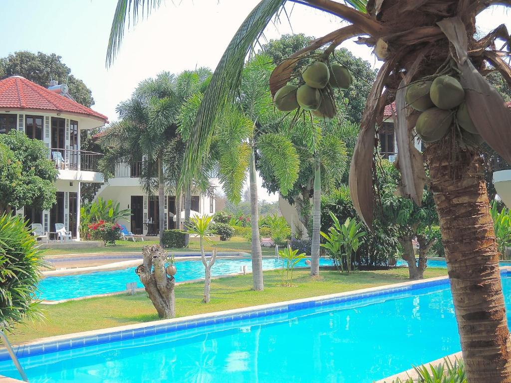 Bazén v ubytování Mango Spa & Resort nebo v jeho okolí
