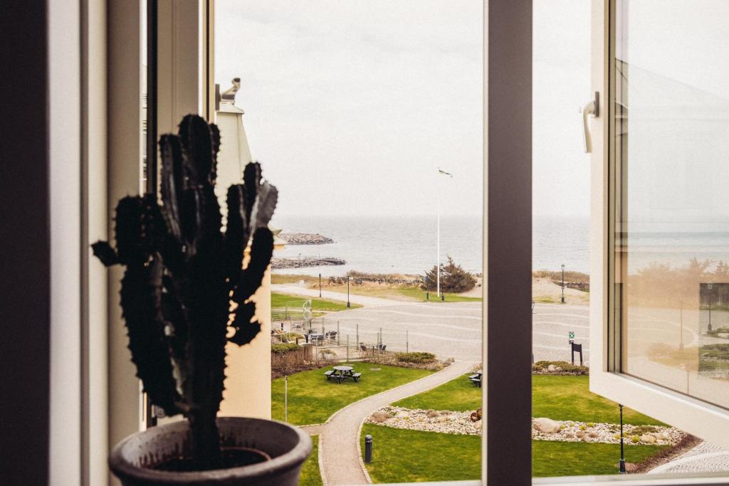 Příroda nedaleko hotelu