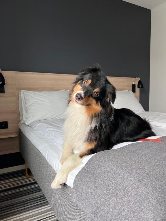 Citybox Oslo - Resim 36