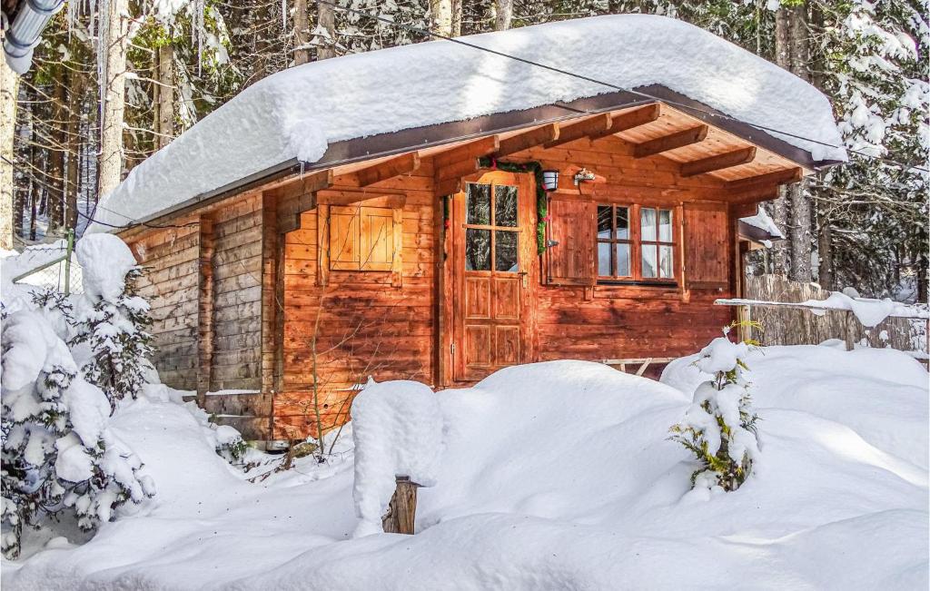 Erholsames Ferienhaus Pillberg during the winter