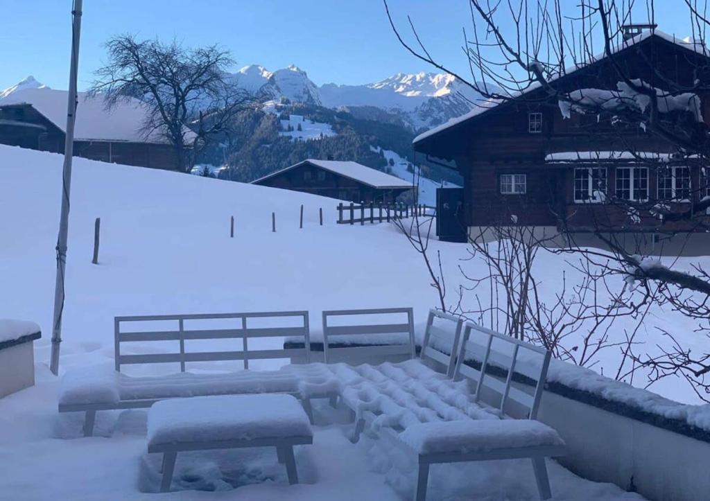 Ski in Duplex Chalet talvel