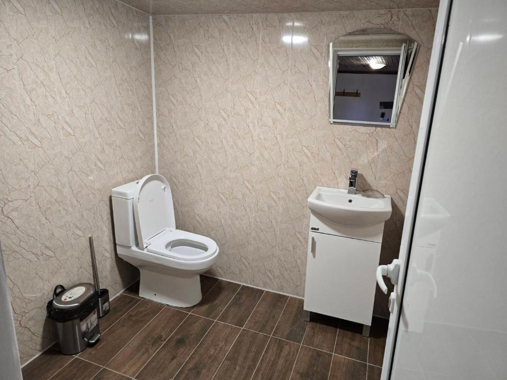 a bathroom with a toilet and a sink at Sunny Guest House in Boykovtsi