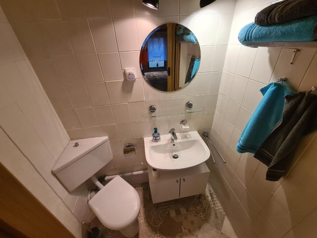 Vannituba majutusasutuses Stara Brožnja