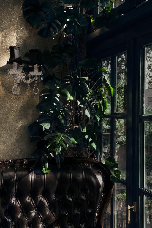 Hotel Villa Achenbach - Resim 8