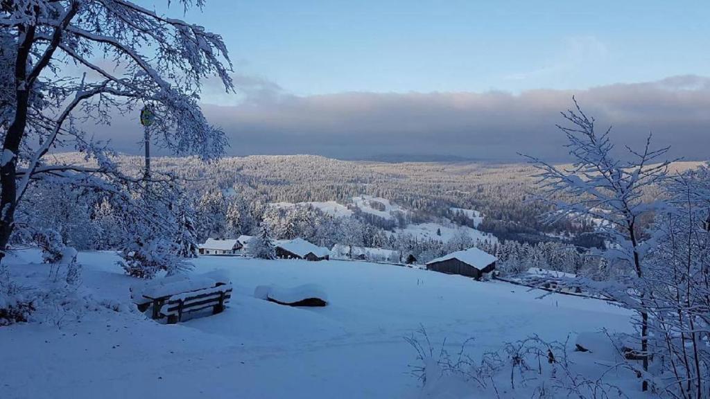 Apartman Mitterdorf v zimě