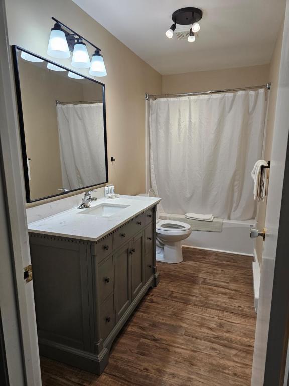 a bathroom with a sink and a toilet and a mirror at Fair Isle Motel & The Nest in Whycocomagh