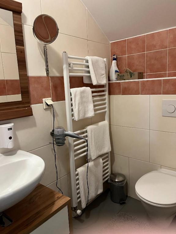 a bathroom with a white toilet and a sink at Ferienwohnungen Gruber in Rust