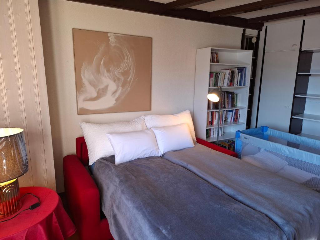 Postel nebo postele na pokoji v ubytování Le Nid d'aigle apt Leysin centre avec forfait piscine sauna jacuzzi en option