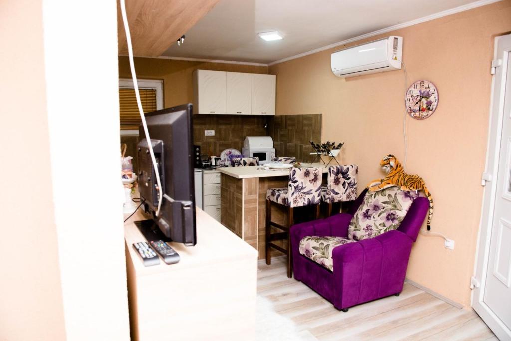 Η κουζίνα ή μικρή κουζίνα στο Stan na dan Danijela