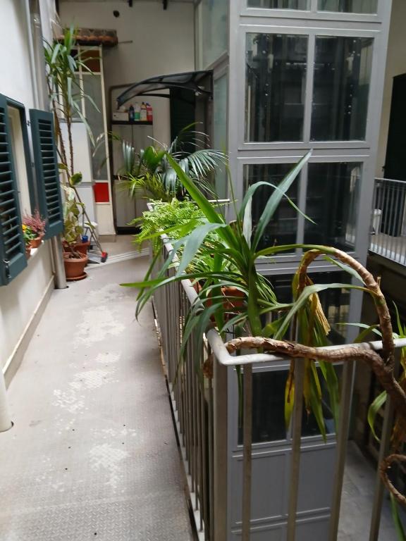 B&B Casa Degli Artisti - 15