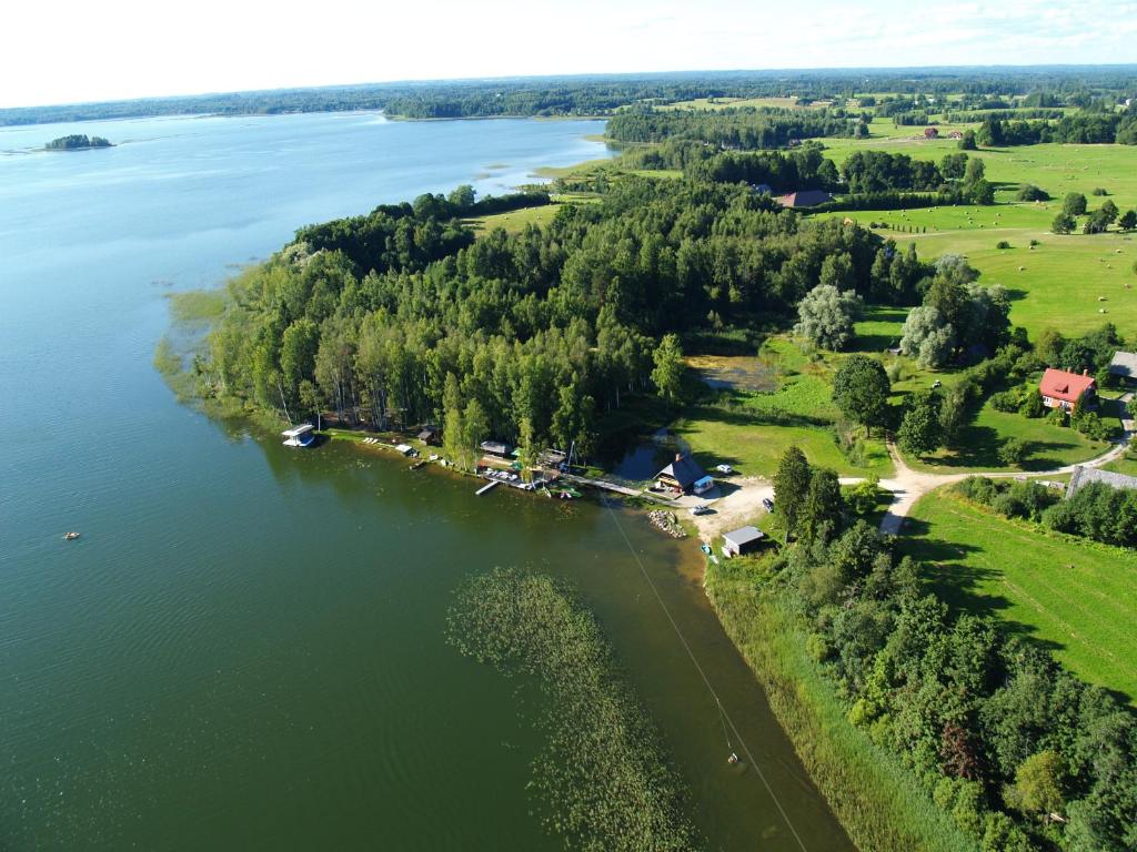 an aerial view of a lake with trees and houses at Chill Up in Vecpiebalga