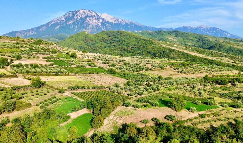 an aerial view of a farm with a mountain in the background at Alpeta Agrotourism & Winery - Roshnik , Berat in Berat
