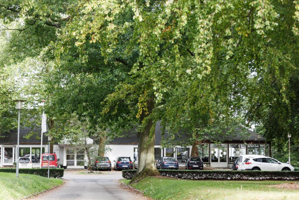 Zahrada ubytování Hotel Strandparken
