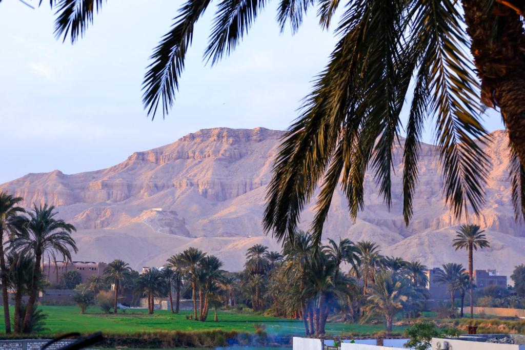uitzicht op een berg met palmbomen en bergen bij Habiba Apartment in Luxor