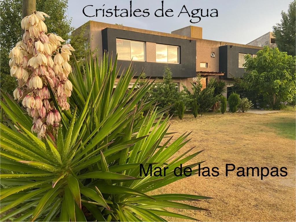 Κήπος έξω από το Cristales De Agua