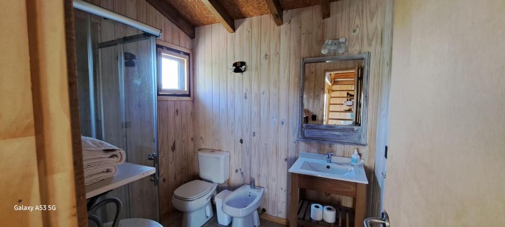 La Cabaña sobre Río Aluminé Pilo Lil