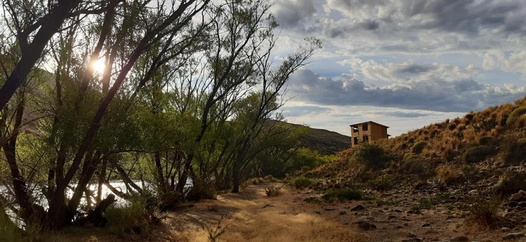 La Cabaña sobre Río Aluminé Pilo Lil