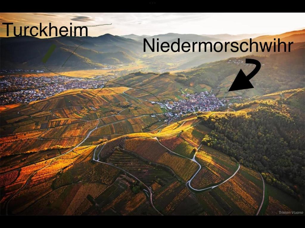 a view of a city from the air with a mountain at Caveau 1751 in Niedermorschwihr