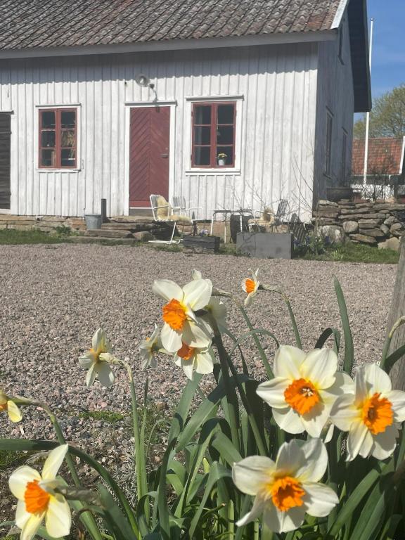 Zahrada ubytování Jonstorps brygghus
