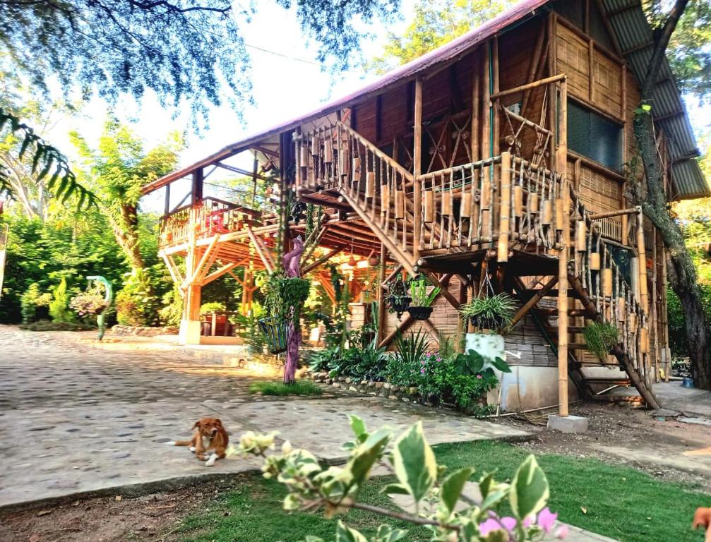 a dog laying in the grass in front of a house at Avani del desierto in Villavieja