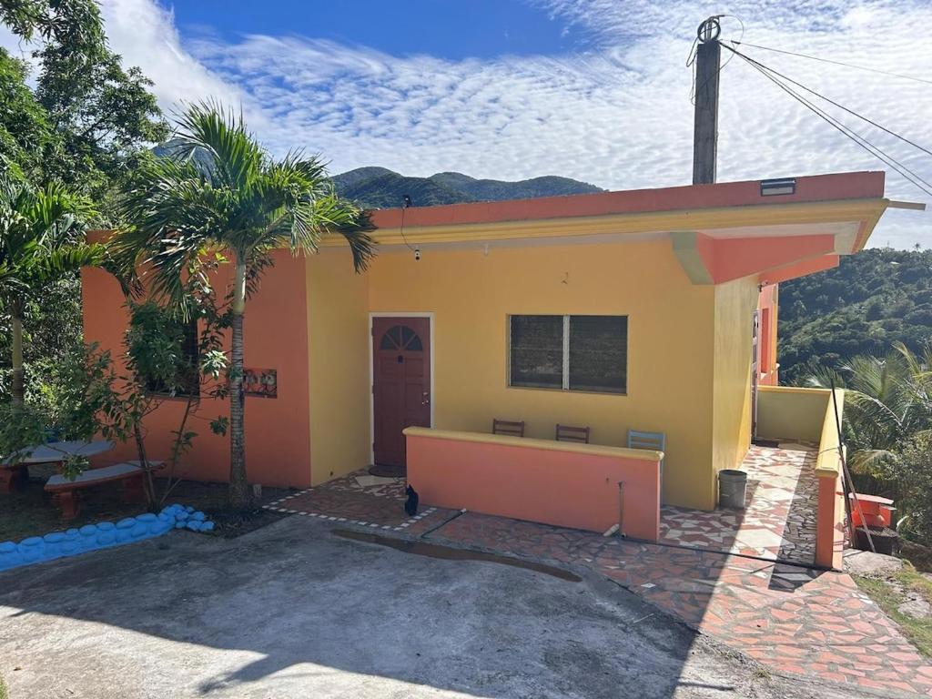 a yellow and orange house with a palm tree at Seaview Guesthouse Apt#1 in Bank Level