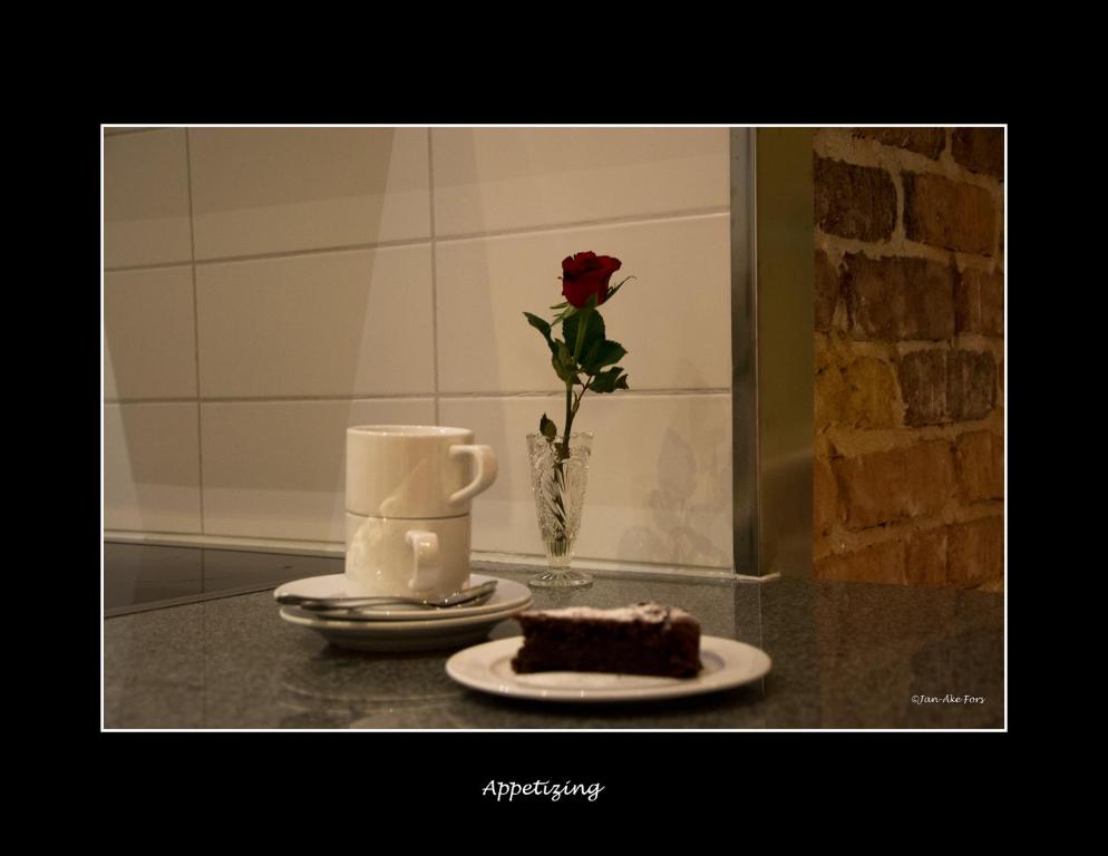 Fotografie z fotogalerie ubytování Lannavaara Lodge v destinaci Lannavaara