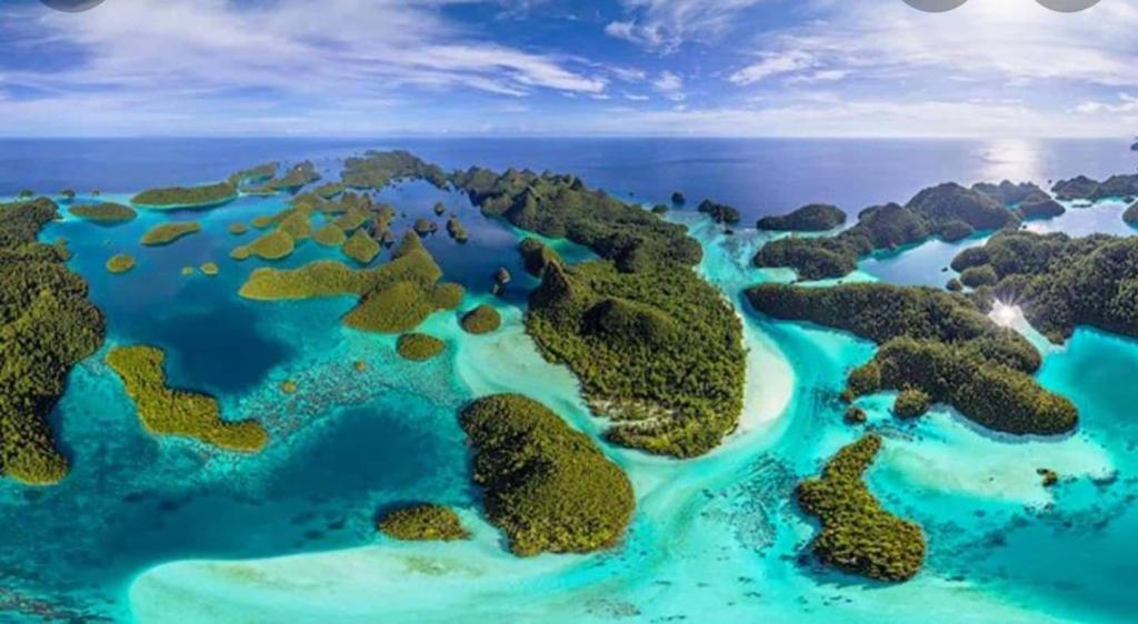 Landskap semula jadi dekat dengan perkhemahan ini