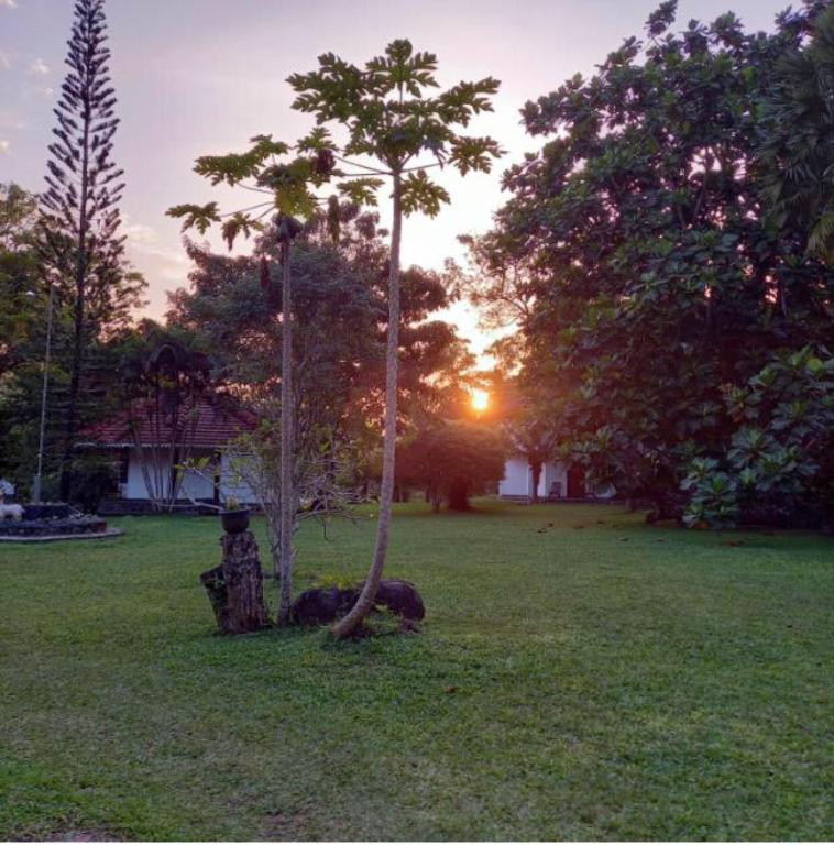 Zahrada ubytování Subodinee Bungalow