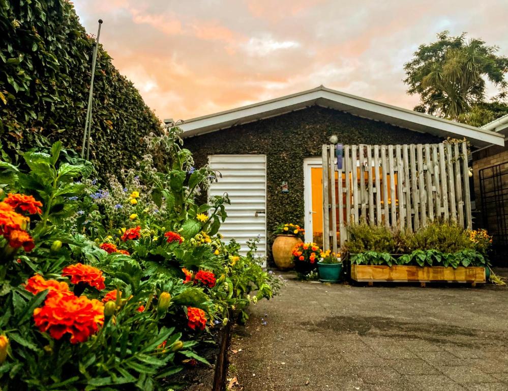 Gully hideaway apartment - Resim 4